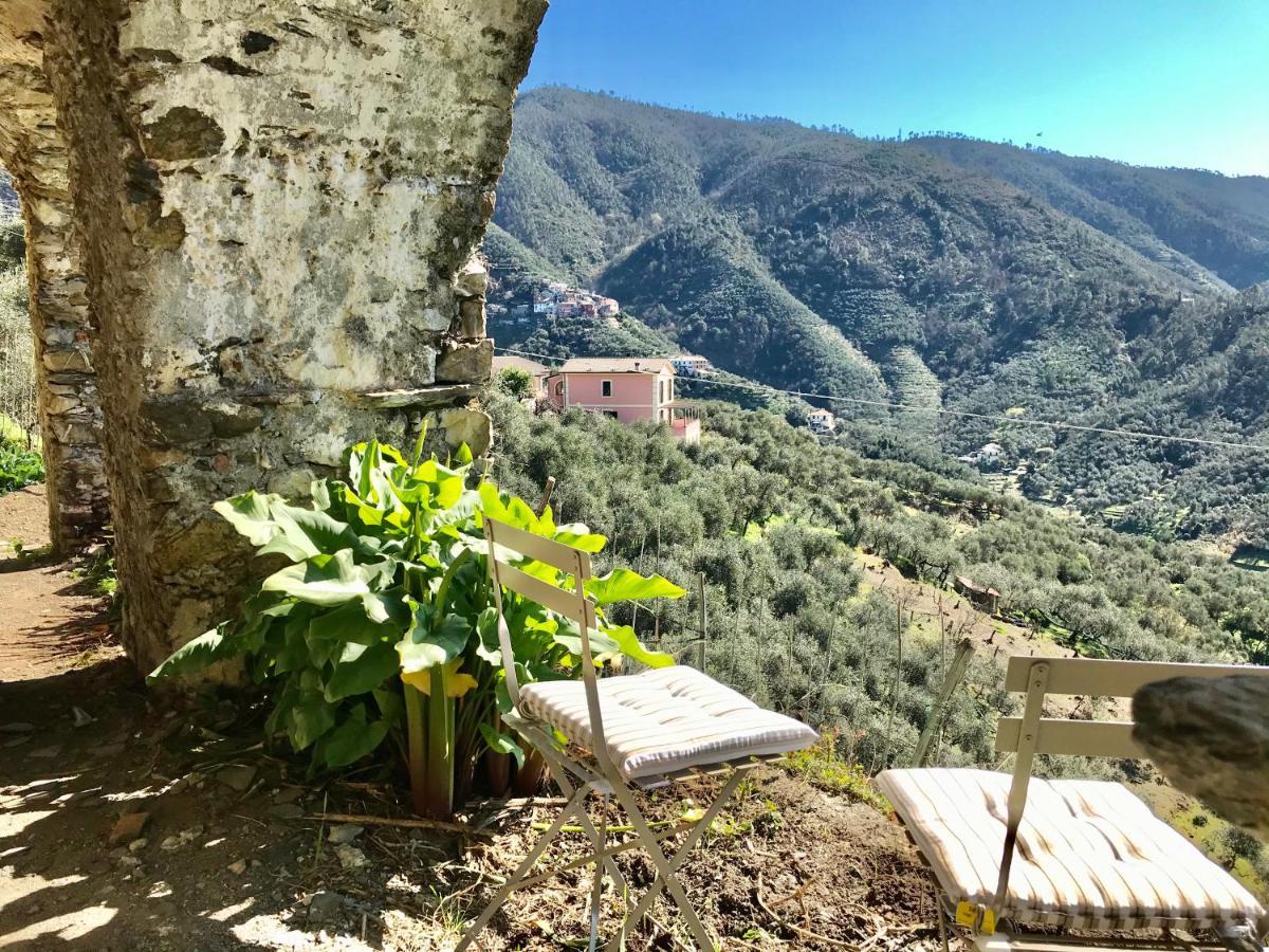 Agriturismo Sancristoforo Levanto Exterior foto
